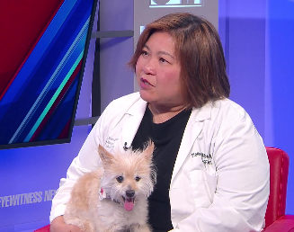 pet allergies and asthma